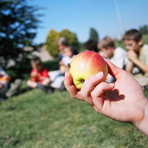 CONTES DE GOURMANDISE